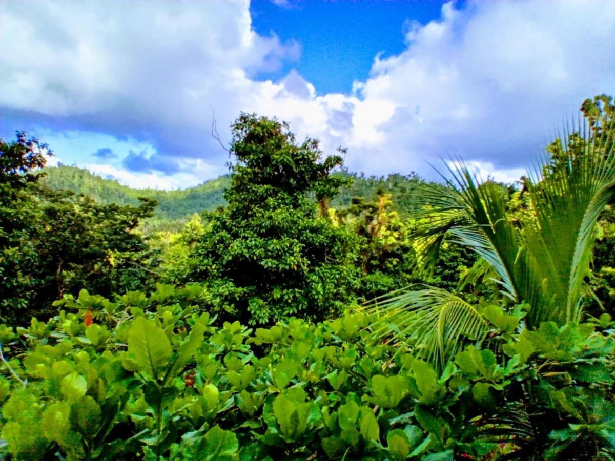 Roots Jungle Retreat Villa Marigot Ngoại thất bức ảnh