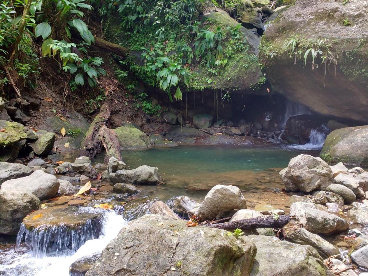 Roots Jungle Retreat Villa Marigot Ngoại thất bức ảnh