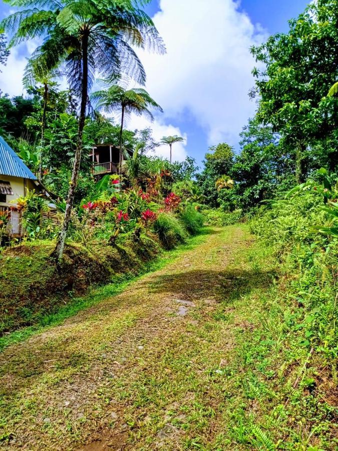 Roots Jungle Retreat Villa Marigot Ngoại thất bức ảnh