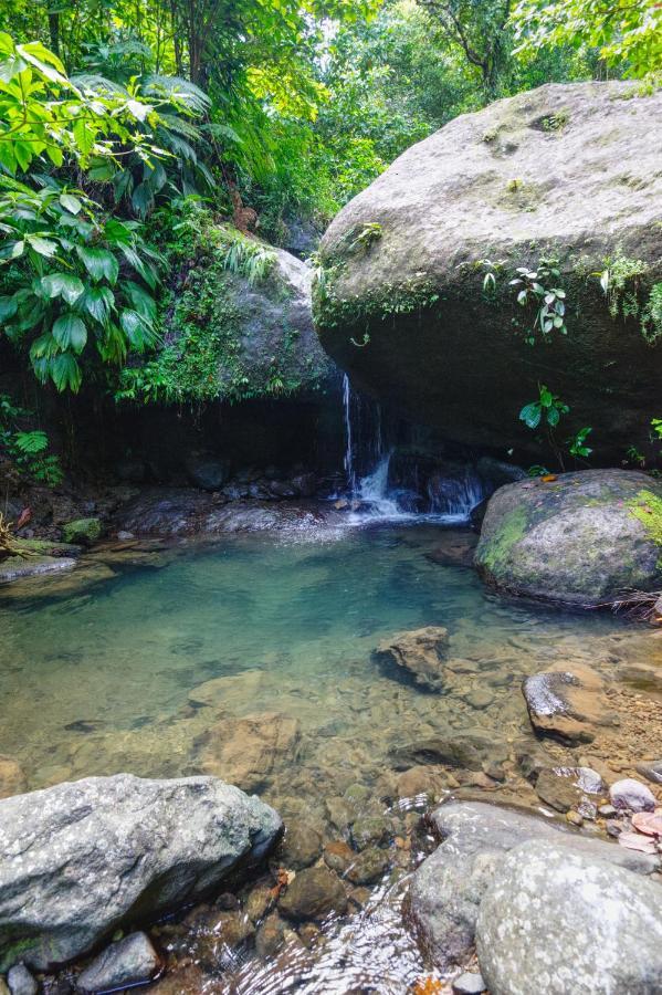Roots Jungle Retreat Villa Marigot Ngoại thất bức ảnh