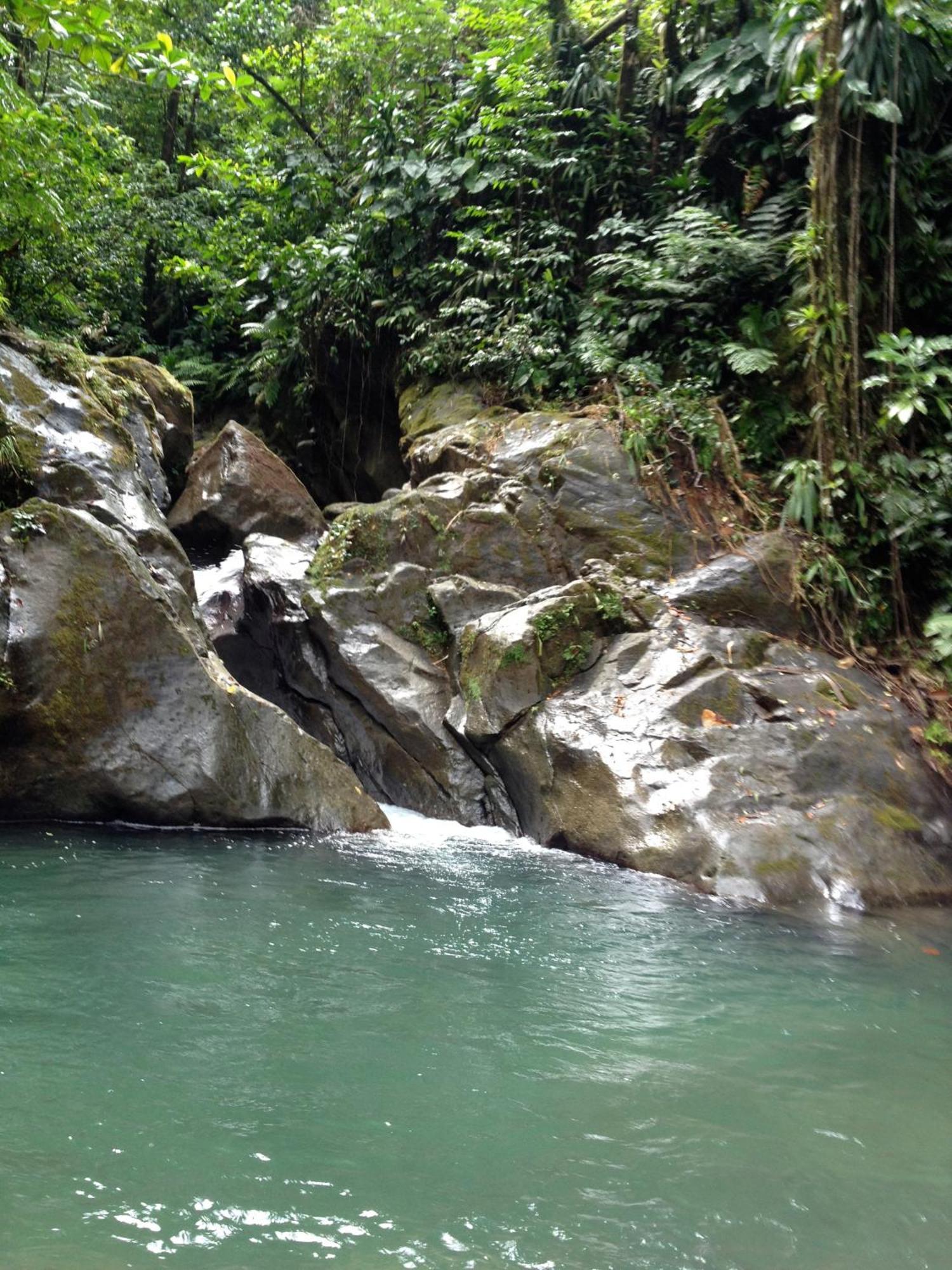 Roots Jungle Retreat Villa Marigot Ngoại thất bức ảnh