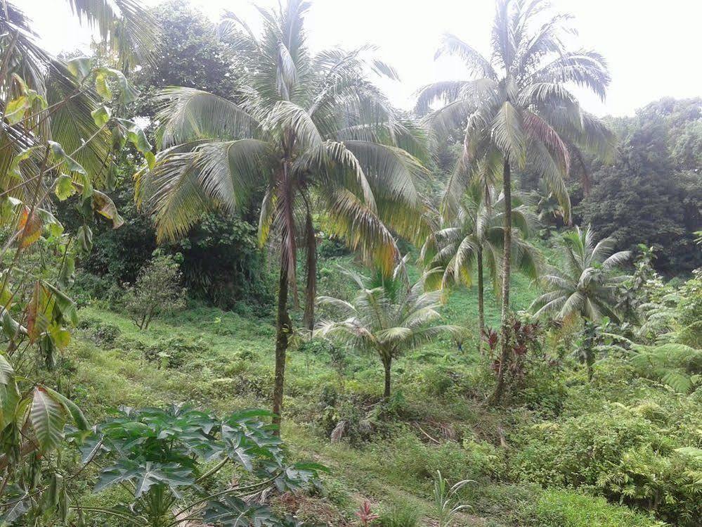 Roots Jungle Retreat Villa Marigot Ngoại thất bức ảnh